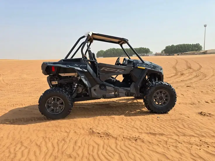 Morning Dune Buggy Dubai Tour